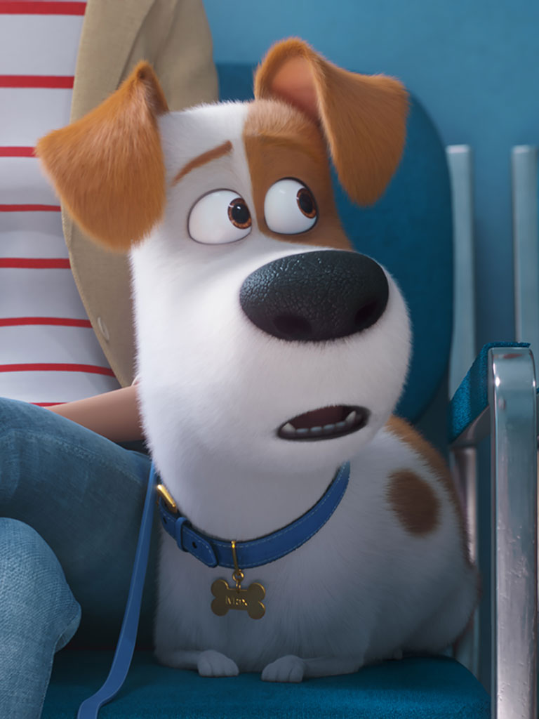 Universal Pictures UK Buy The Secret Life of Pets Love
