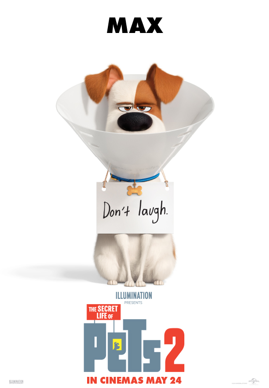 the secret life of pets movie in stores the secret life of pets movie in stores